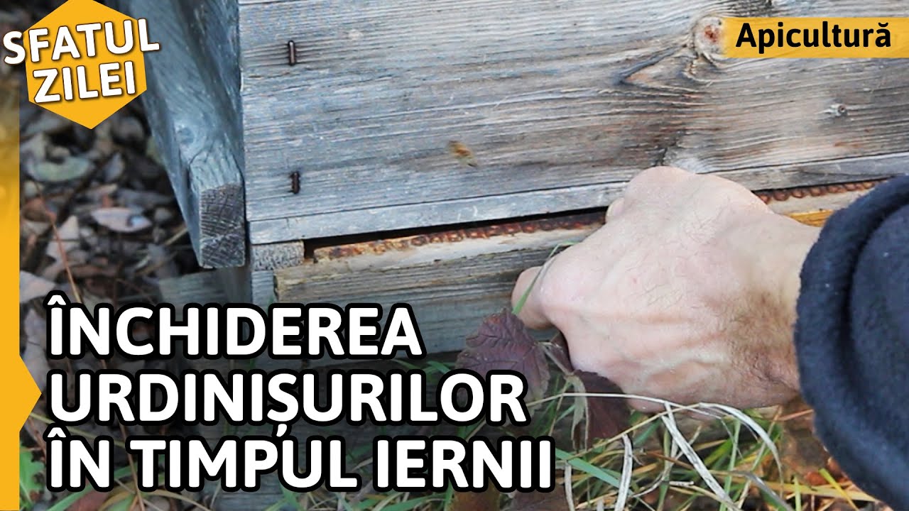 ÎNCHIDEREA URDINIȘURILOR PE TIMPUL IERNII [Sfatul zilei]