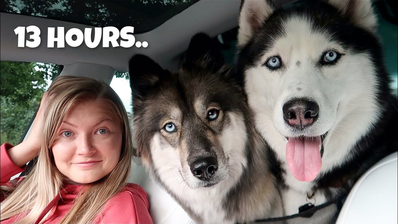 Their Longest Road Trip Ever!
