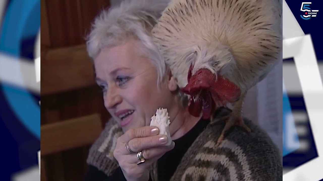 Peva i jede slaninu, petao Ptičica - Borino 5kazanje