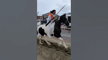 ?? Ringrijden Koudekerke ????  Nederland @TravelwithHugoF  #ringrijden #horses #koudekerke #netherlands