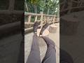 もんた界隈で1番ムズムズする