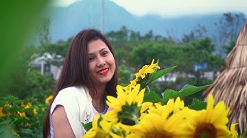 Check-in cánh đồng hoa hướng dương ở Fansipan