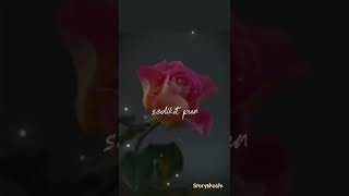 Titi Dj Jangan Berhenti Mencintaiku