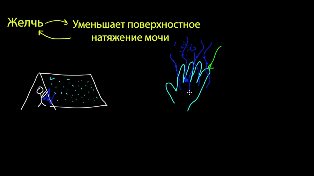 Поверхностное натяжение и адгезия (видео 17) | Жидкости | Физика