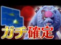 【新環境】シグマのガチグマガチ調整!この熊"ガチ"すぎ注意【ポケモンSV】