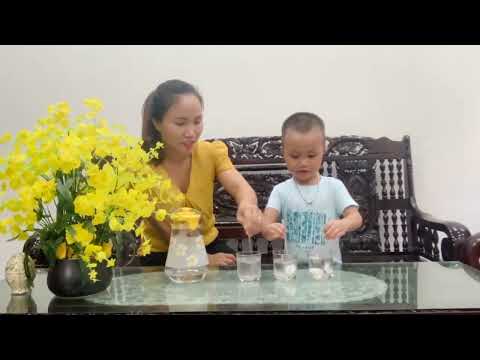 KP 1 số đặc điểm tính chất của nước
