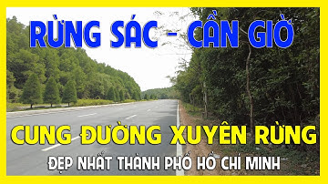RỪNG SÁC CẦN GIỜ | CUNG ĐƯỜNG XUYÊN RỪNG ĐẸP NHẤT TP.HCM | HUYỆN CẦN GIỜ