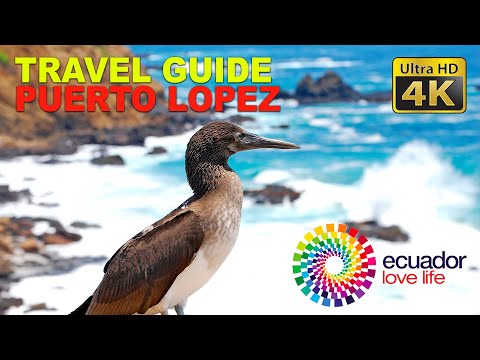Video: Čo Robiť Na Ostrove Isla De La Plata V Ekvádore Namiesto Galapágskych Ostrovov