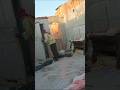 A CASA DELA FOI DESTRUIDA #caçadoresdelenda #lendas