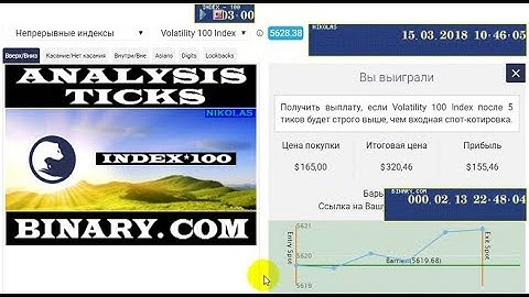 Analysis TICKS INDEX*100 Binary.com