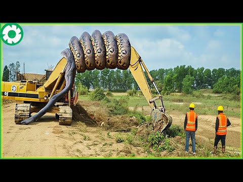 350 Jaw-Dropping Dangerous Transport Skill Operations | Biggest Heavy Machinery Machines