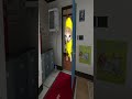 バナナ猫と遊ぶ予定だったのに… #shorts #gmod #garrysmod #nextbots#bananacat