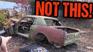 Searching for Gold in the Junkyard!