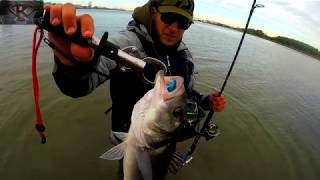 Magnifique Pesca Lubina Seabass Pêche Au Loup Bar Du Bord ,Canne Moulinet Daiwa