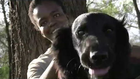 Canines for Conservation