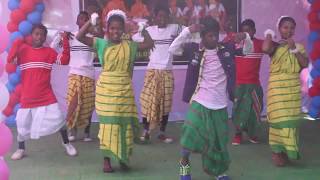 Kherwal Birsodey Dhamal Dance Korba-2018