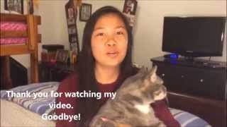 Korean 101 Final Project