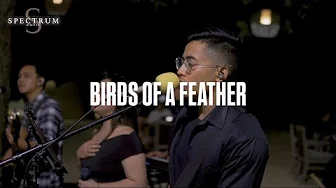 Billie Eilish - Birds of a Feather (Live Cover) Billie Eilish - Birds of a Feather (Live Cover)