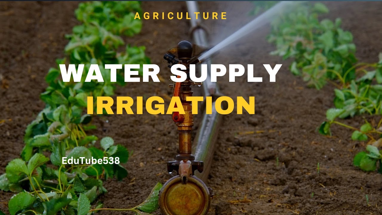 Water Supply and Irrigation YouTube