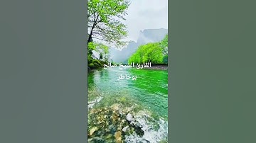 القرآن الكريم #المصحف #تلاوات_رائعة #اكسبلور #لايك
