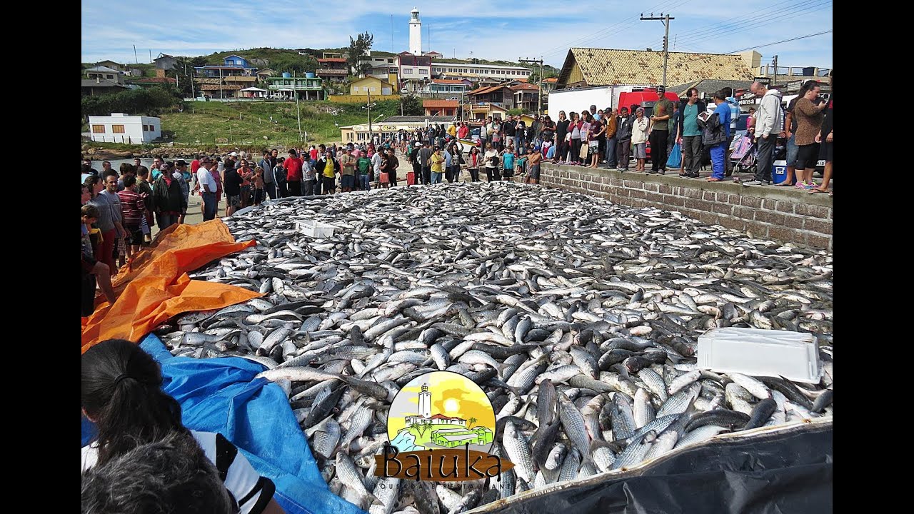 CERCO HISTÓRICO DE TAINHAS NO FAROL