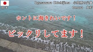 小笠原の旅その3　海の透明度が高い！ 亀煮丼はいい経験！ ウェザーステーション展望台！【無職旅／旅行記】