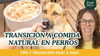 CAMBIA A TU PERRO A LA ALIMENTACIÓN NATURAL COCINADA   | Tips y transición paso a paso