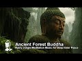 Ancient Forest Buddha Rainy Jungle Meditation Music For Deep Inner Peace mp3