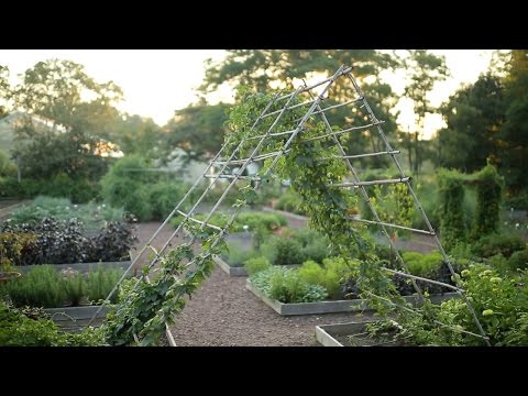 Video: Clinker For Vertical Gardening