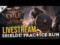 🔥NERFs WON'T STOP MY SHIELD! |🛡️Jorgen's SSF Shield Wall Titan Practice!