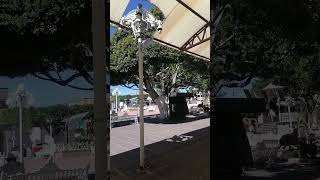 ayotlan jalisco