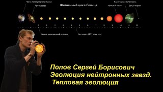 Наука и Сон: Эволюция нейтронных звезд. Тепловая эволюция