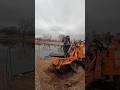 Let's grind a stump by the lake!  #stumpgrinding #turbodiesel