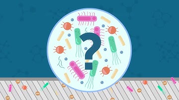 Verification Activities:  ATP Testing Luminometer