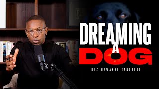 Dreaming a Dog | Miz Mzwakhe Tancredi