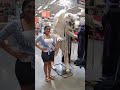 VID-20190827-WA0001.mp4