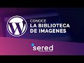 La biblioteca de imágenes #10 - CURSO DE WORDPRESS 2022