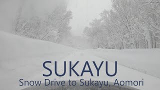 4K SUKAYU [酸ヶ湯] The Snowiest Place in Japan / Drive from Central Aomori City to Sukayu / 青森市街→酸ヶ湯