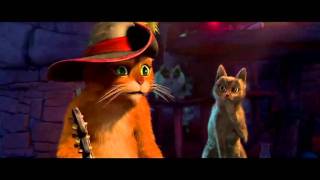 Oooh cat.avi