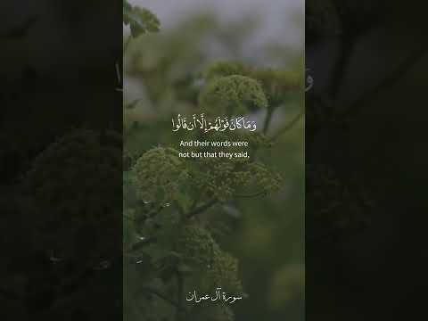 وكأين من نبي قاتل معه ربيون كثير فما وهنوا آل عمران 146 القارئ بيشه وا قادر الكردي