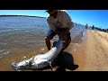 Sorprendente Surubi en la orilla, pesca y granja de animales en S jose Entre rios!!!!