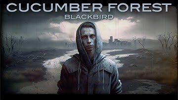 Cucumber Forest - Blackbird (Official Video)
