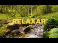 SONS DA NATUREZA | RELAXAR | DESESTRESSAR | REDUZ TENSÃO FISICA E MENTAL