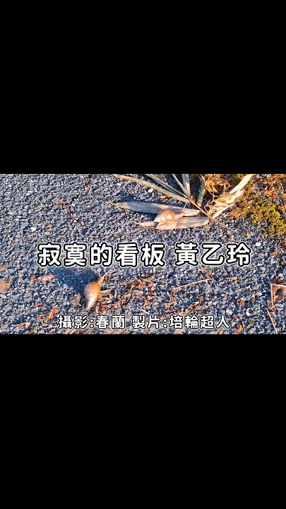 #寂寞的看板 #黃乙玲 #歌詞 #花蓮【完整歌曲請點擊上方▶︎影片連結進入觀賞】 #回憶殺