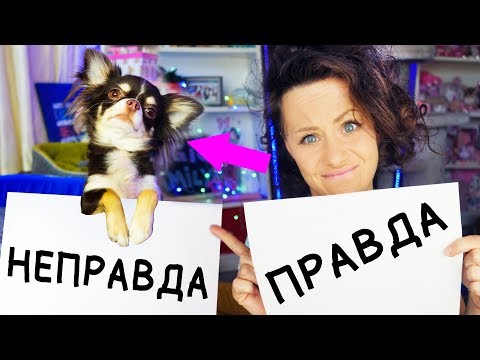 Видео: САМЫЕ НЕЛОВКИЕ СИТУАЦИИ С СОБАКАМИ ! ВОПРОС ОТВЕТ Magic Family