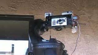 my motion control time lapse rig in action