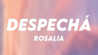 DESPECHÁ - Rosalia [Lyrics Video] 💫