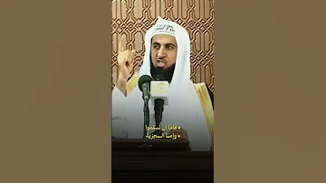 من خالد بن الوليد إلى مرازبة فارس 