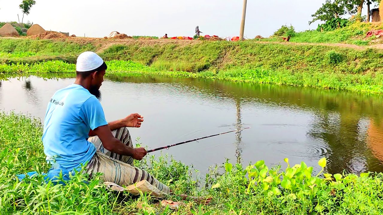 Best hook fishing video 2022