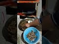 Eating chicken feet adobo